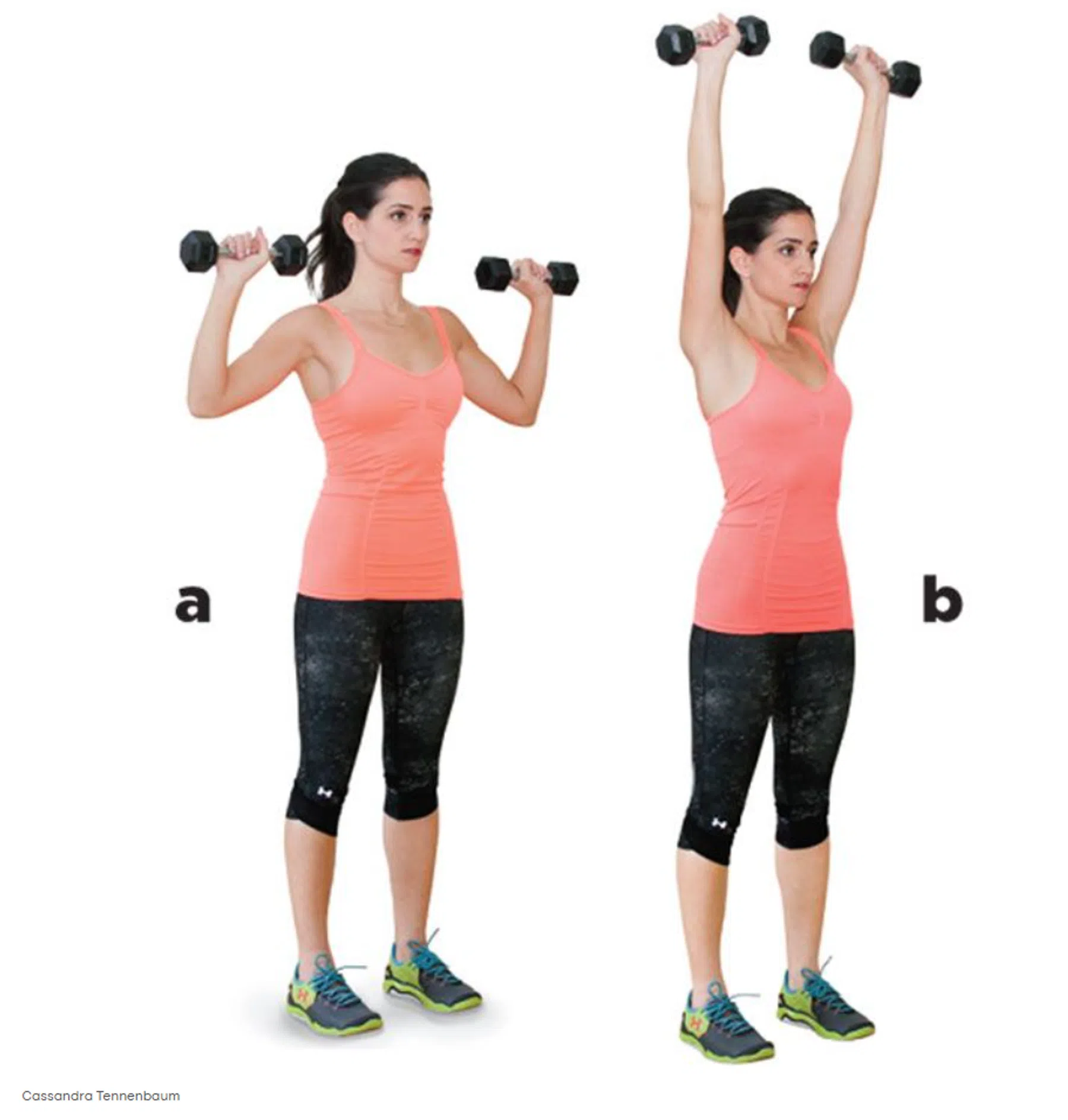 Dumbbell Press
